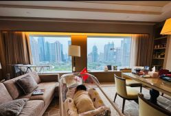 -巍阁高端月子会所