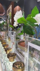 -香遇沙龙香水·调香·团建