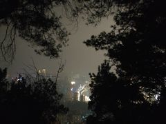 -南山植物园