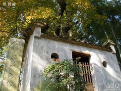 -塔川景区