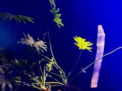 -逸馥荟(人广来福士店)