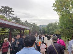 -晋祠公园
