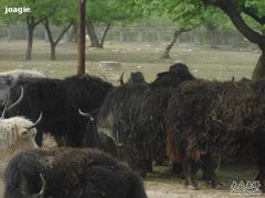 -西安秦岭野生动物园