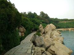 -东澳岛