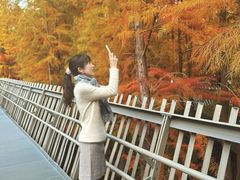 -福道