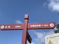 -大罗山风景区