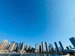 -星海广场