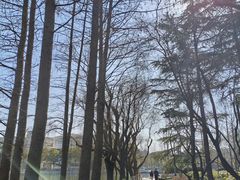 -上海大学(宝山校区)