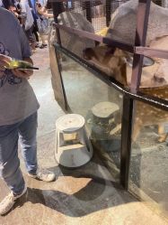 -酷嗒动物文化乐园(cutezoo西溪乐天城店)