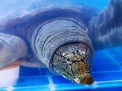 -湘里乡亲甲王二老店