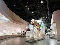 -长江文明馆