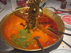 -小龙翻大江文化火锅(宽窄店)