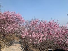 -香山公园