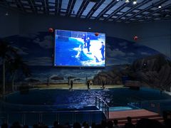 -福州罗源湾海洋世界旅游区