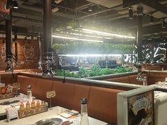 -猫爪爪原切自助烤肉(观音桥阳光世纪店)