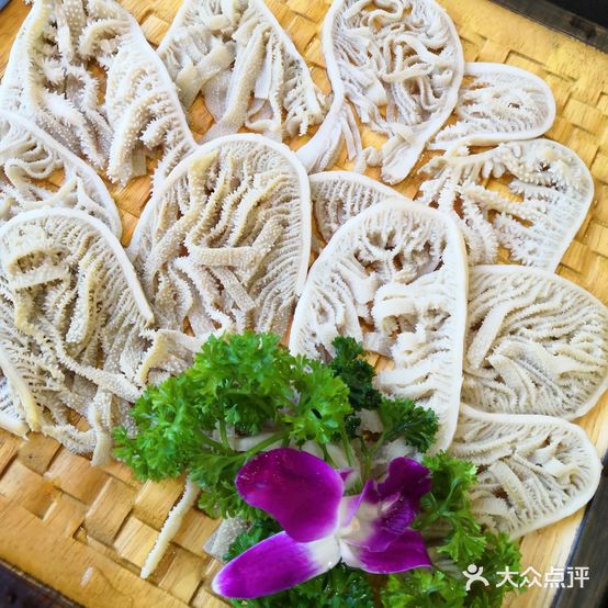 蜀酒香火锅酒楼(泰山北路店)