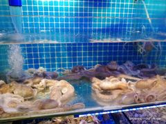 -前王院•巧克力海鲜市集餐厅(万平口店)