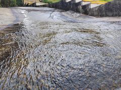 -石排湾郊野公园