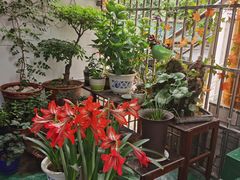 -臭鳜鱼人家·老字号徽菜