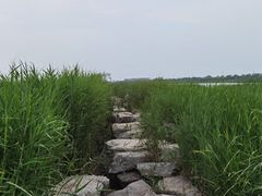 -绿堤公园