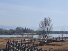 -野鸭湖国家湿地公园