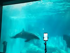 -福州罗源湾海洋世界旅游区