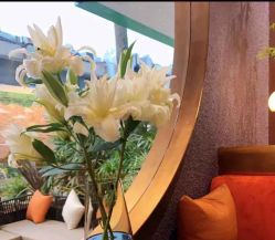 -花隐·美芙炫海菲秀皮肤管理中心