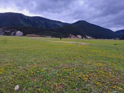 -纳帕海依拉草原