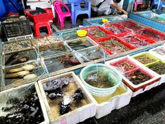 -霞涌市场海鲜摆卖区