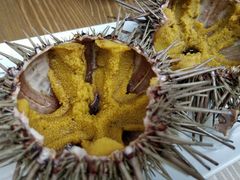 生海胆-海胆小馆(东北水饺·春柳店)