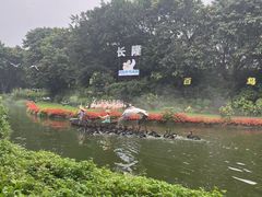 -广州长隆飞鸟乐园