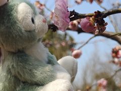-上海滨江森林公园