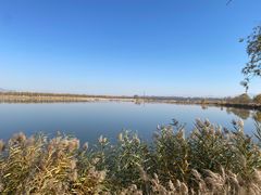 -野鸭湖国家湿地公园