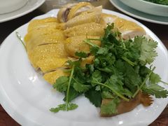 -瑞记湛江鸡饭店·粤西第一鸡(粤垦店)