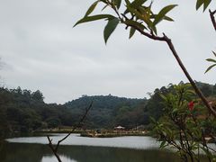 -南国桃园旅游度假区