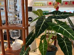 -唐咖精品咖啡(大理古城手冲店)