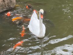 -呀诺达热带雨林
