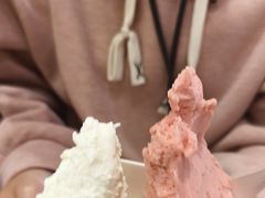 -野人先生现做冰淇淋(深圳壹方城店)