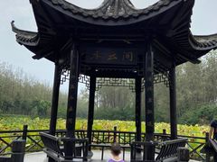 -合肥滨湖国家森林公园