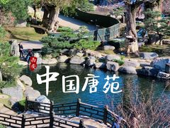 -中国唐苑