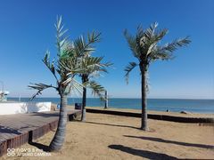 -巧克力渔家.小船海鲜家常菜(万平口店)