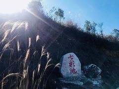-军营村