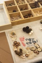-保丽宝泰母婴护理院·月子中心·产康·中医(常州店)
