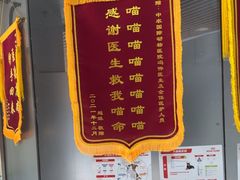 -中农国际动物医院24小时·猫科·骨科·急重症中心