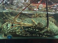 -班赞海鲜市场