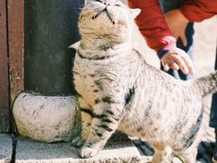 -无锡惠山寺