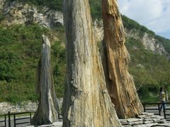 -金钉子远古世界景区