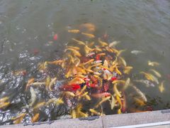 -南戴河国际娱乐中心