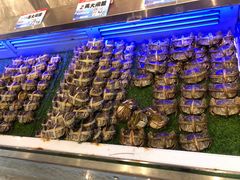 -海鲜e族(马王堆店)