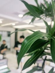 -组合发型